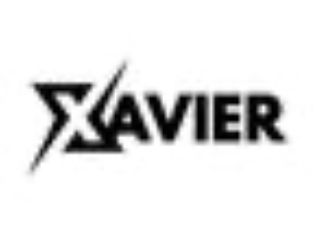 Xavier Apparel (Pvt) Ltd logo