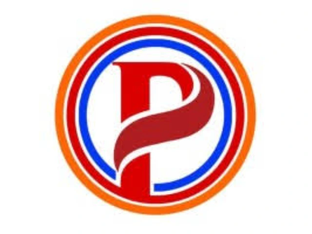 Premium Auto Parts (PVT) LTD logo