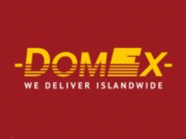 DOMESTIC EXPRESS PVT LTD logo