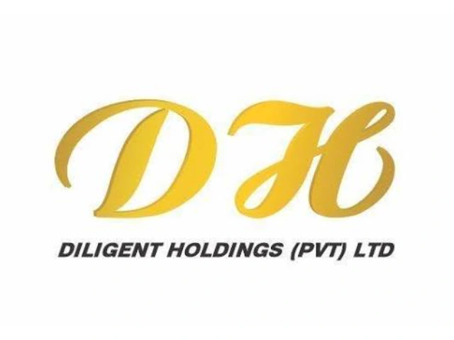 DILIGENT HOLDINGS (PVT) LTD logo